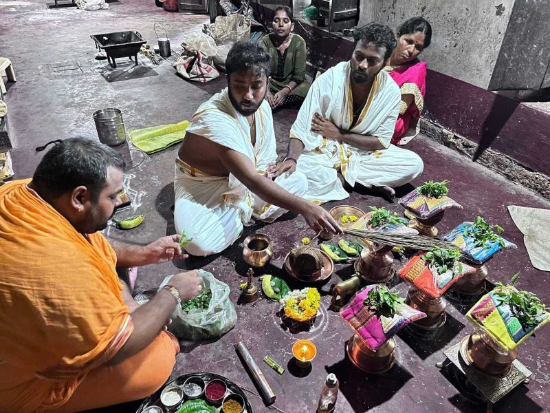 Naga Dosha Shanti Pooja Service