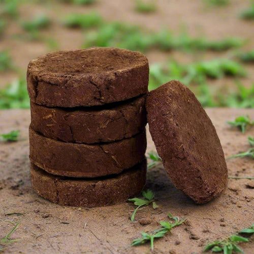Cow dung cake, Packaging Type : Brown for Agriculture Use
