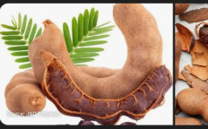 Tamarind
