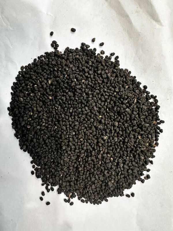 Black Babchi Seeds