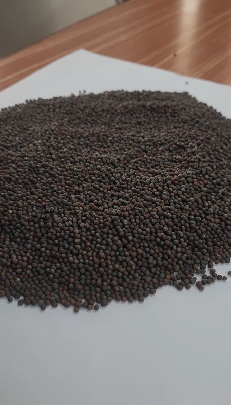 Black Mustard Seeds