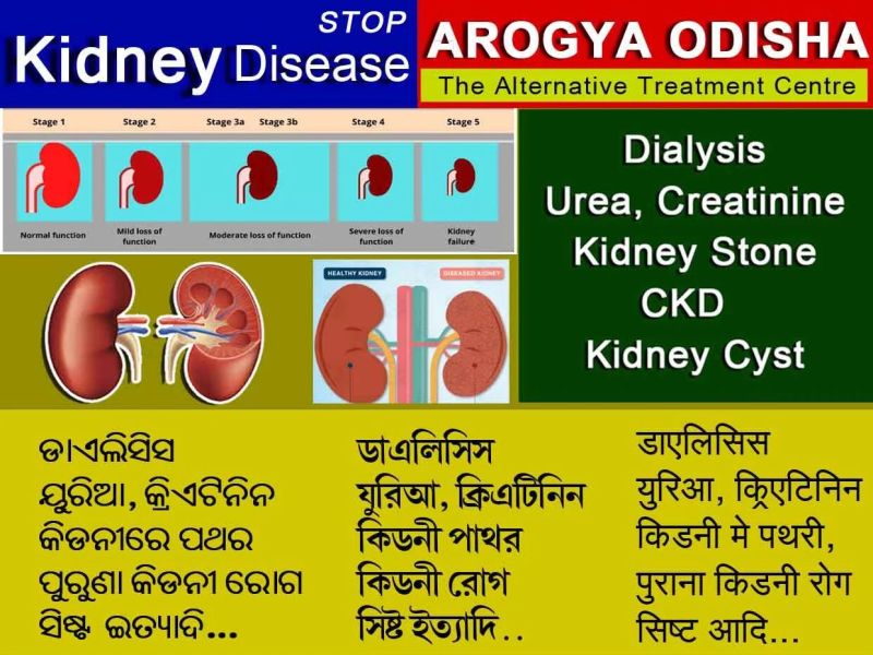 Kidney Dialysis Treatment Services