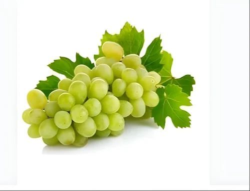A Grade Fresh Grapes, Packaging Type : Plastic Container