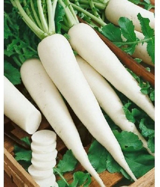 A Grade Fresh Radish