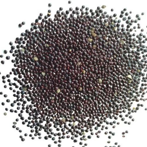 Chaulai Lal Saag Seed