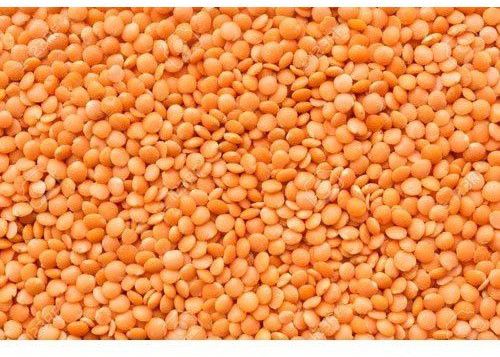 Natural Masoor Red Lentils, Purity : 99.9%