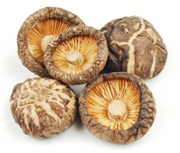 Dried Shiitake Mushroom