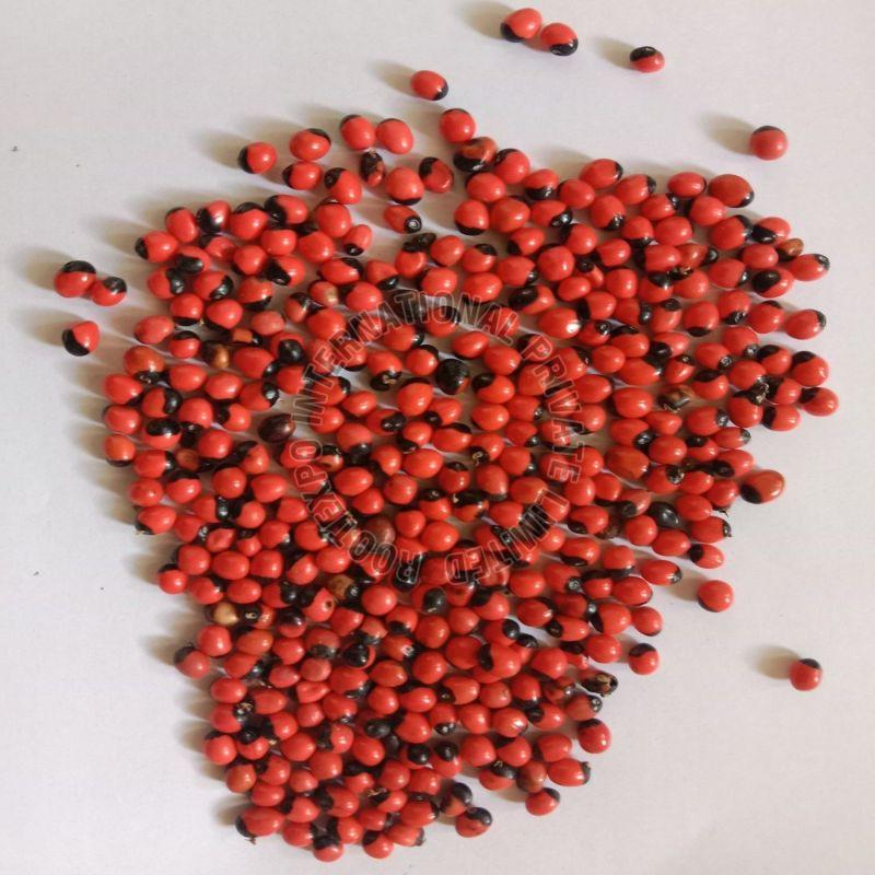 abrus precatorius seeds