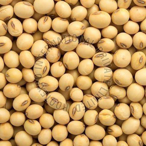 Organic Soybean Seeds, Certification : FSSAI Certified