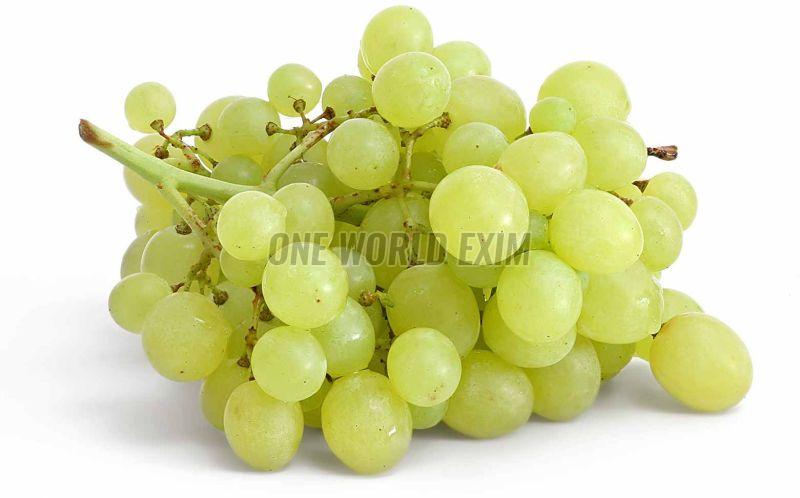 A Grade Fresh Green Grapes