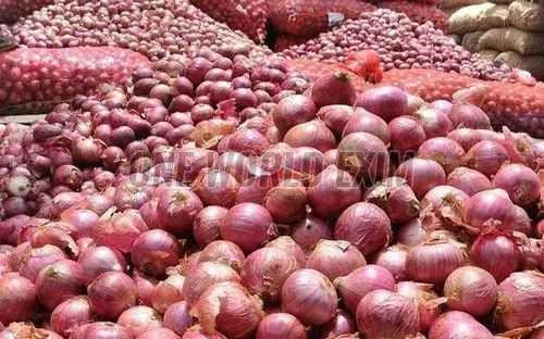 A Grade Fresh Red Onion