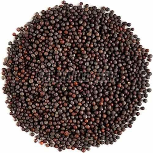 A Grade Whole Mustard Seeds