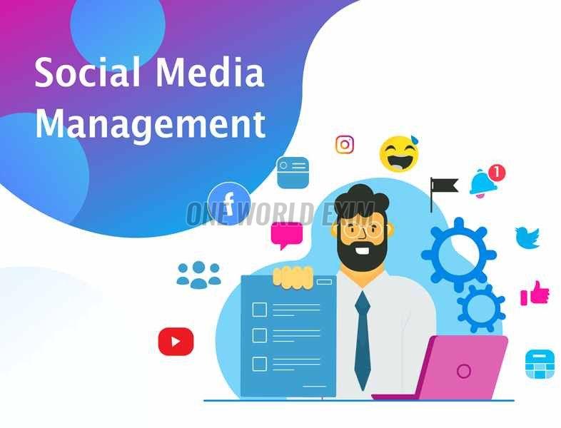 Social Media Management Service