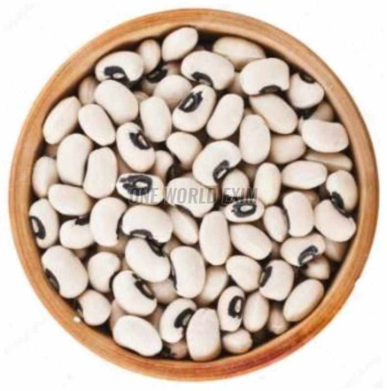 white kidney beans