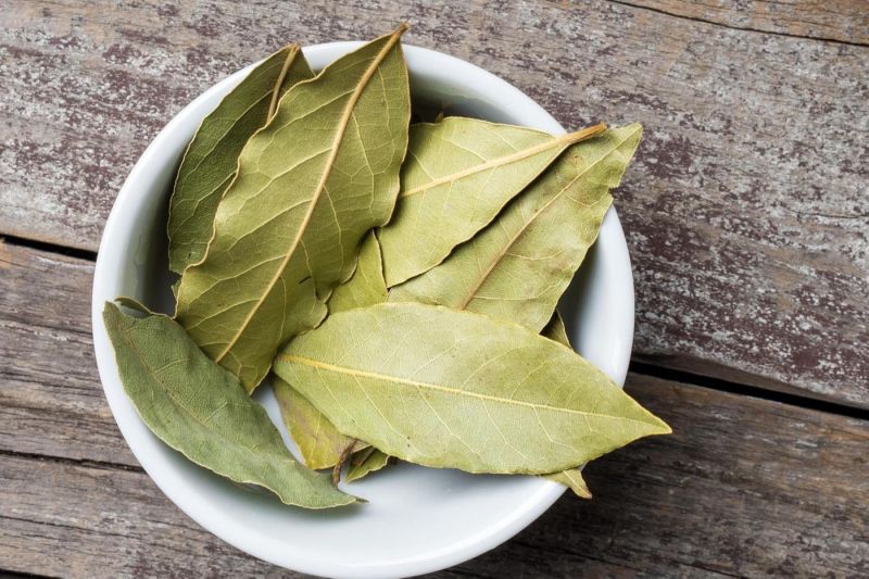 Dry Bay Leaf