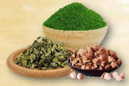 Leaves moringa powder, Model Number : 004`, Packaging Type : Greeb