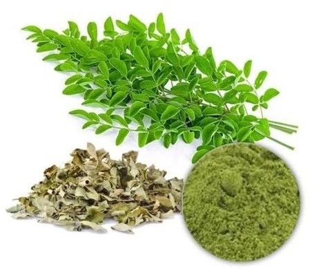 Moringa Extract