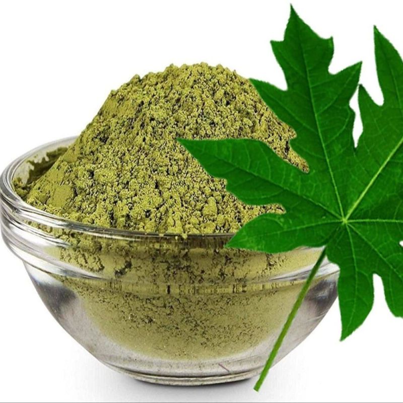 Papaya Leaf Extract
