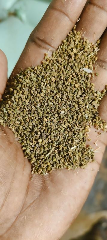 ajwain seeds