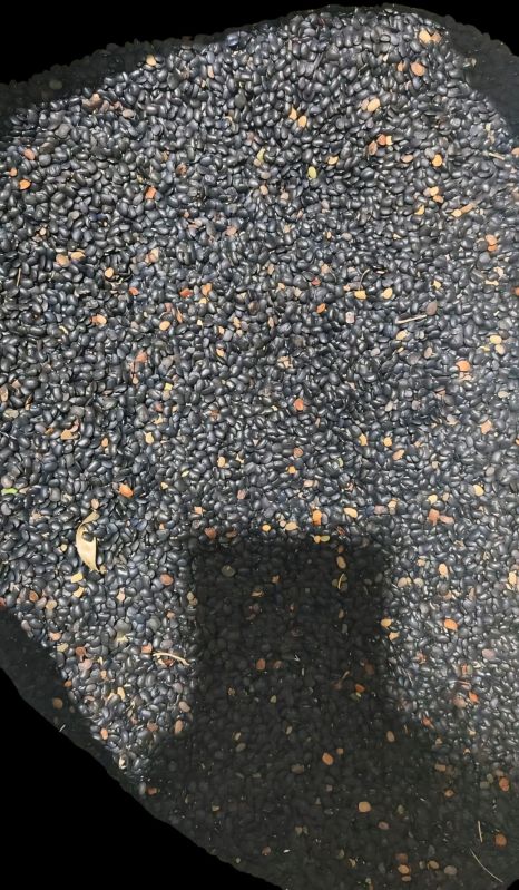 Black Urad Dal