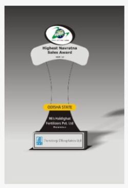 Acrylic Clear Rise Award