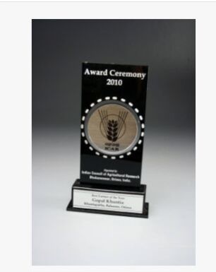 Global Corporate Award