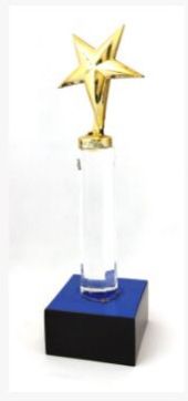 Star Acrylic Pillar Award
