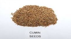 cumin seeds