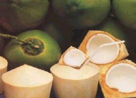 Coconut Water for Refreshing Drink