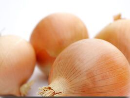 Yellow Onion, Packaging Type : Loose/bulk