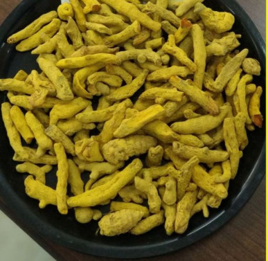 Akash Turmeric Finger, Color : Bright Yellow-orange