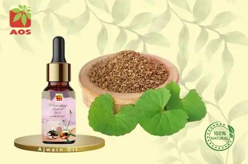 Ajwain Oil