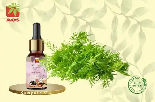 Artemisia Oil