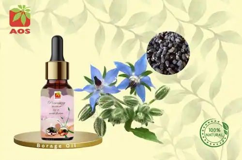 Borage Oil