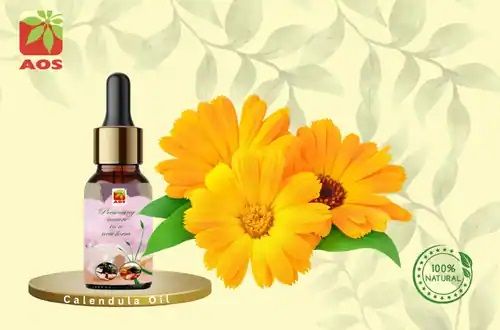 Calendula Oil
