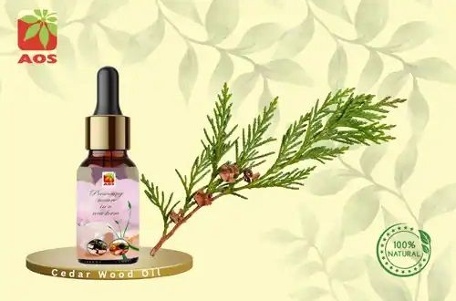 Cedar Wood Oil