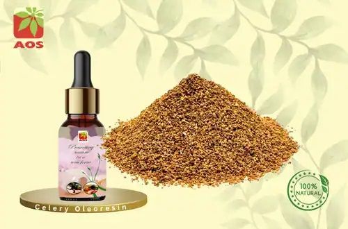 Celery Oleoresin Oil