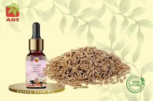 Celery Seed Oil
