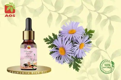 Chamomile Blue Oil for Perfumery, Skincare, Health-related Issues