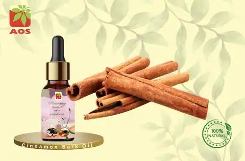 Cinnamon Bark Oil