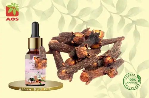 Clove Bud Oil