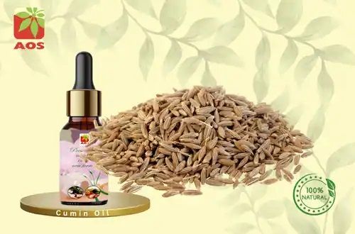 Cumin Oil