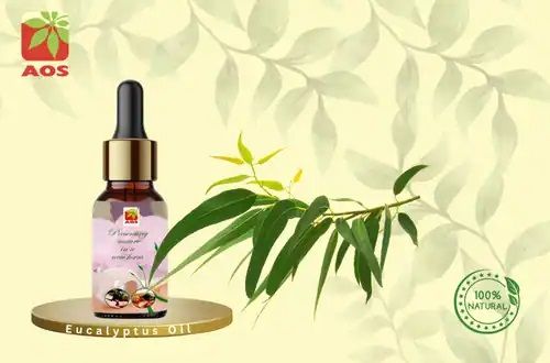 Eucalyptus Oil