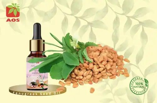 Fenugreek Seed Oil