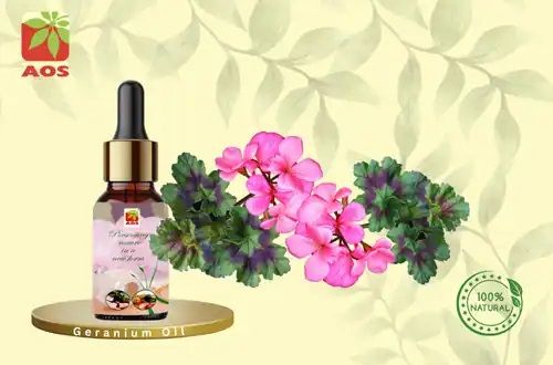 Geranium Oil