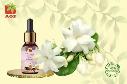 Jasmine Absolute Oil