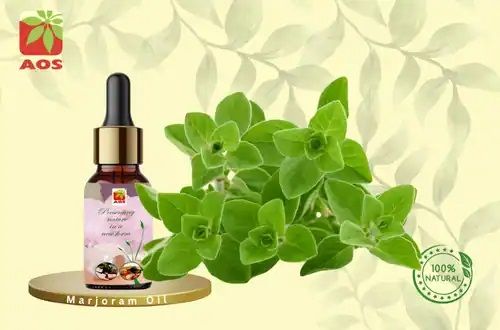 Marjoram Oil