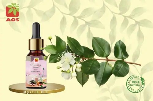 Myrtle Oil