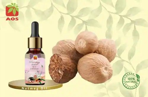 Nutmeg Oil
