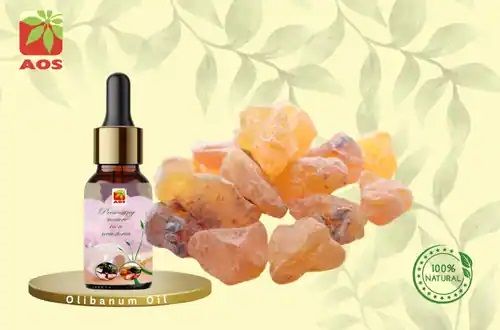 Olibanum Oil, Form : Liquid